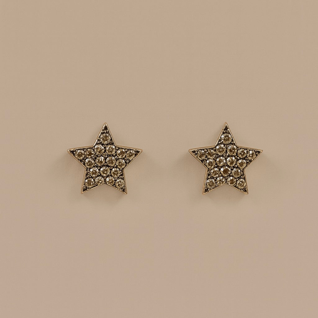 Orecchini stella brown
